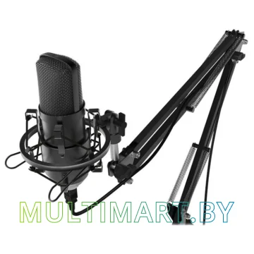 Микрофон Ritmix RDM-169